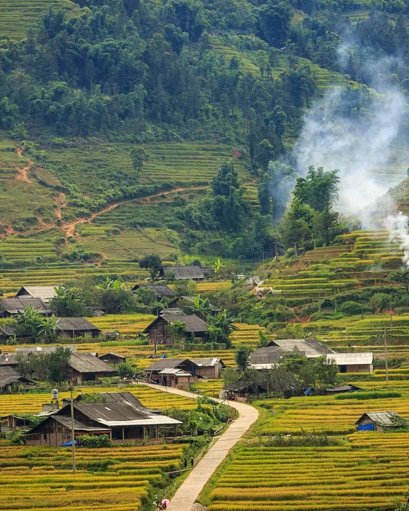 Ảnh hồ sơ của Sơn Tùng