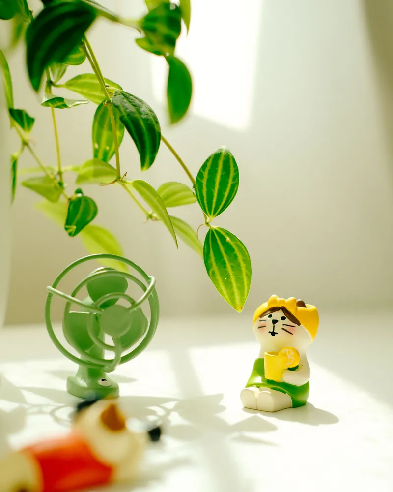 Ảnh hồ sơ của Phương Thảo
