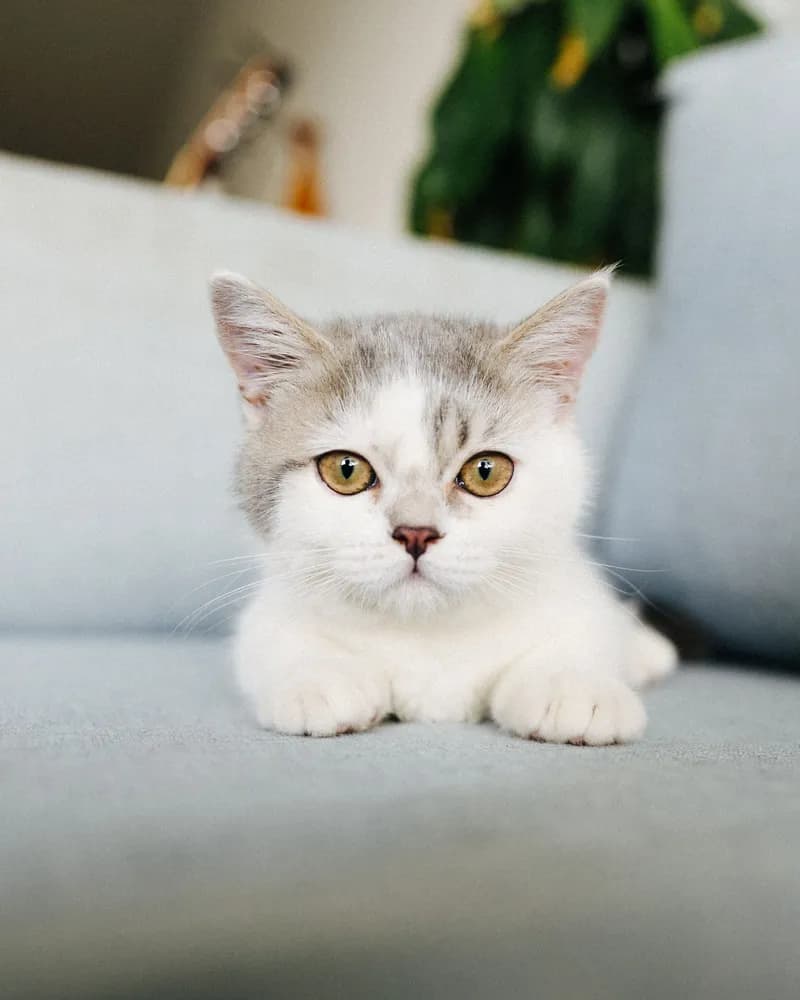 Ảnh hồ sơ của Thu Trang
